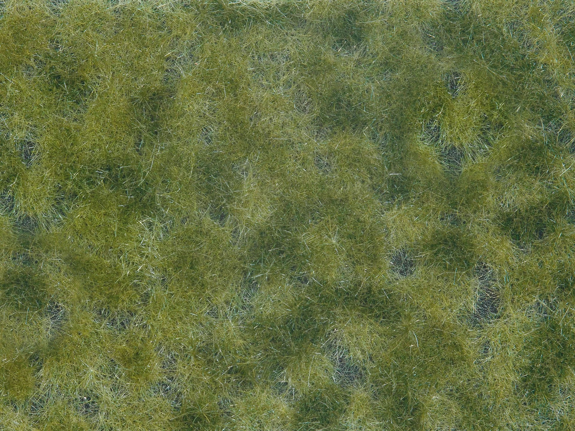 Noch - Foliage de Cobertura, Verde Médio - 12 X 18cm: 07250