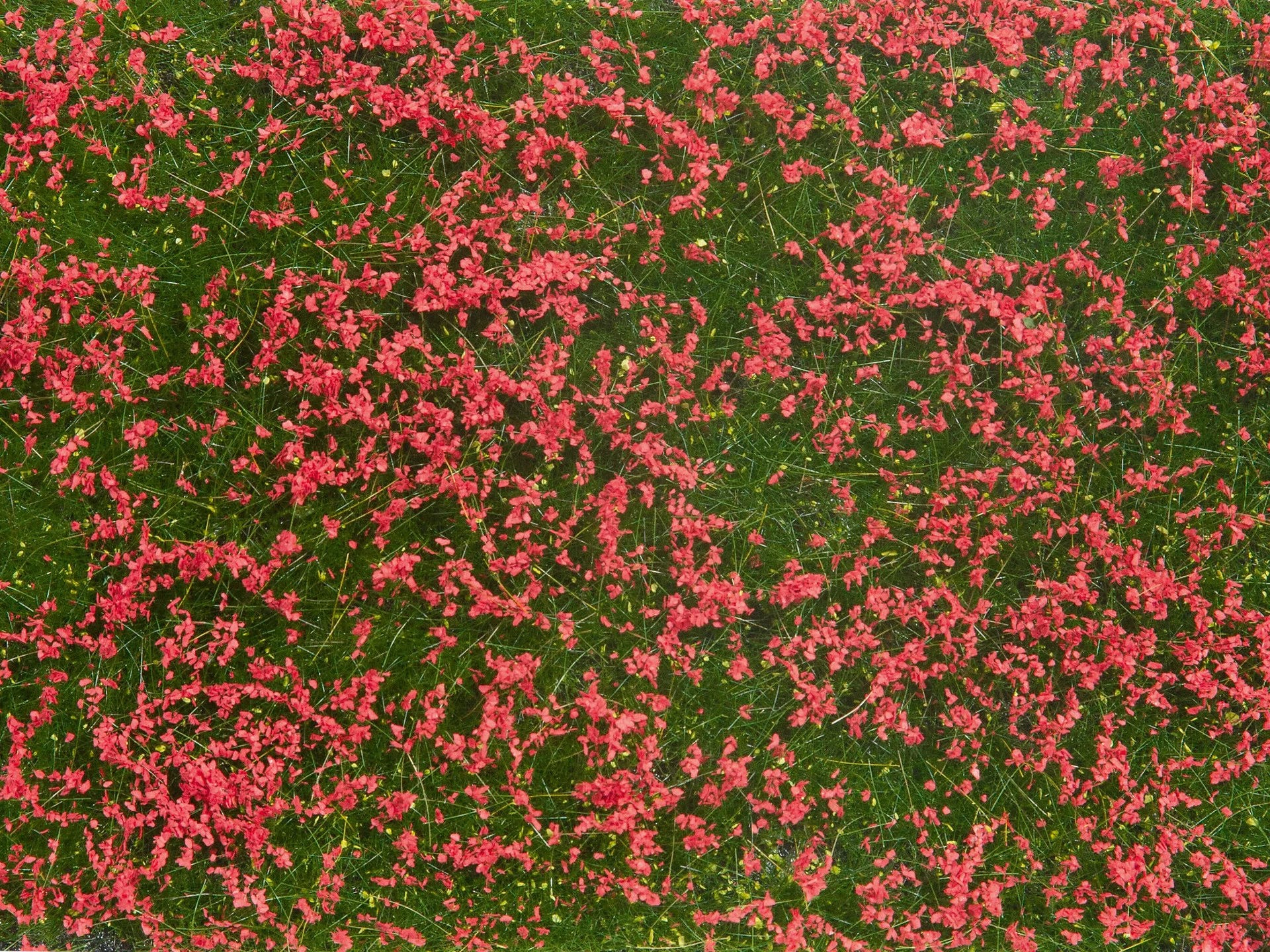 Noch - Foliage de Cobertura, Meadow Vermelho - 12 X 18cm: 07257