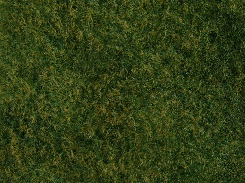 Noch - Foliage, Wild Grass - 20 X 23cm: 07280