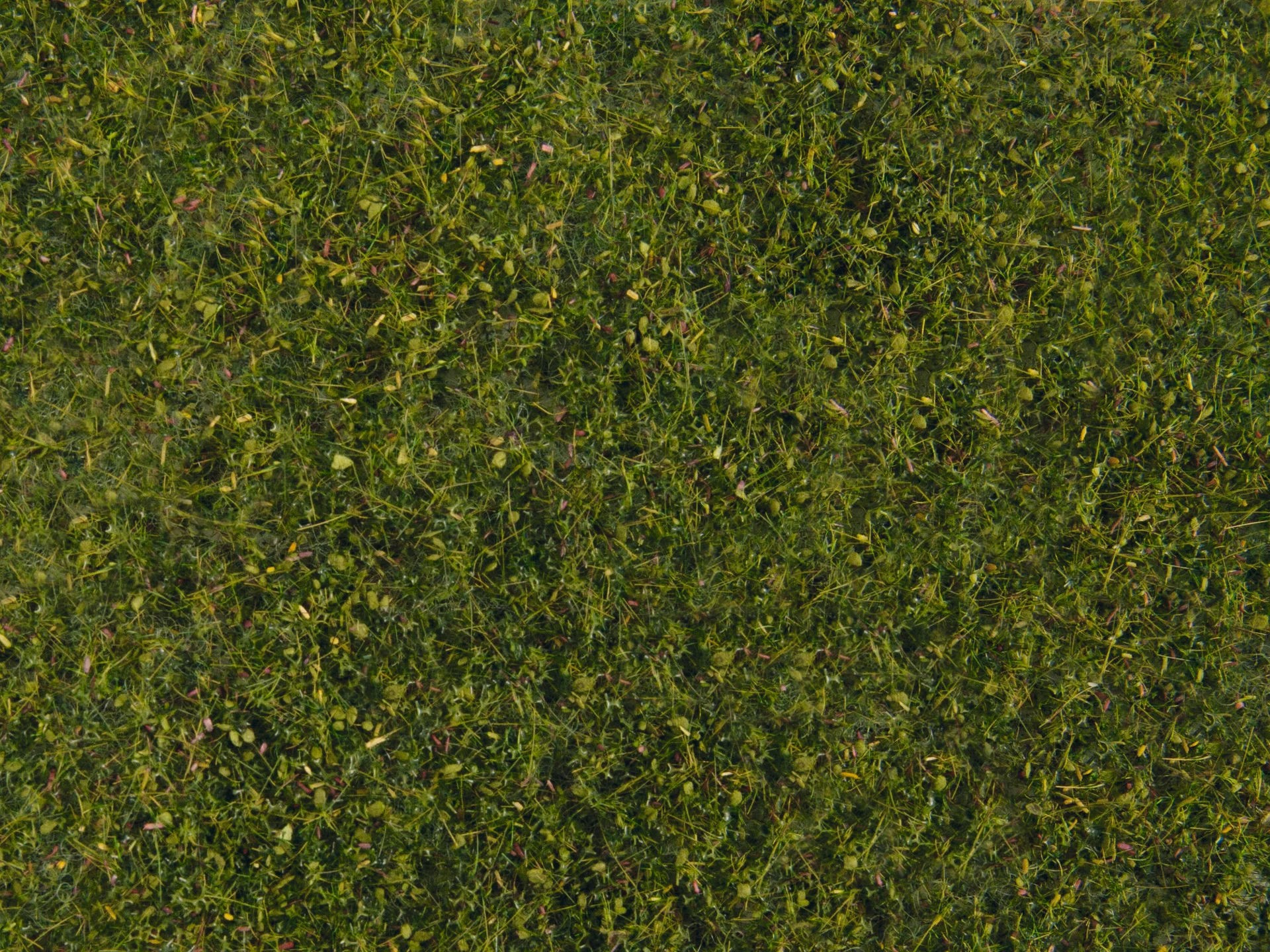 Noch - Foliage, "Meadow" Verde Médio - 20 X 23cm: 07291