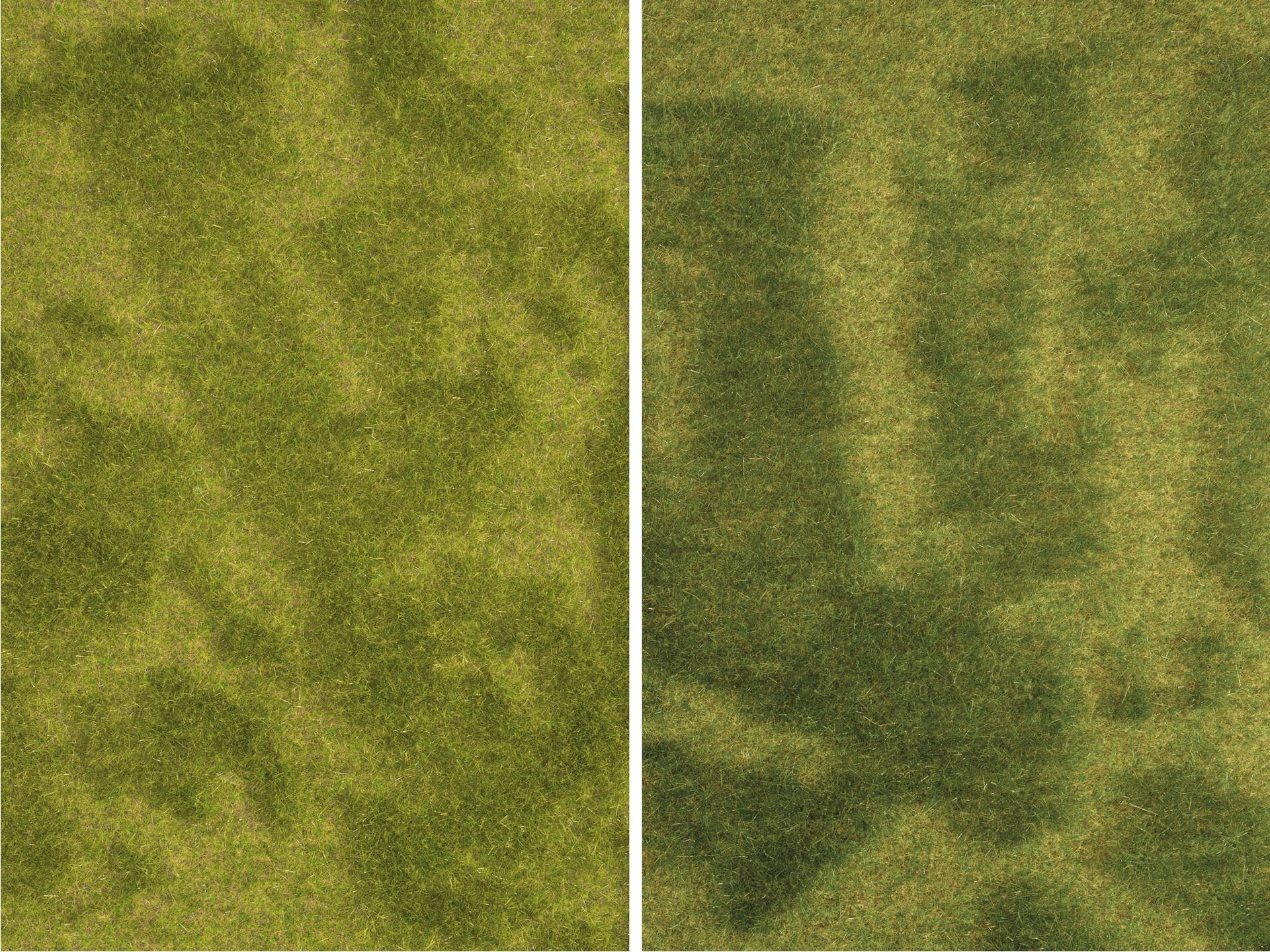Noch - Natur+ Mini Tapete de Grama, "Reed Meadow" - Multi Escala: 07471