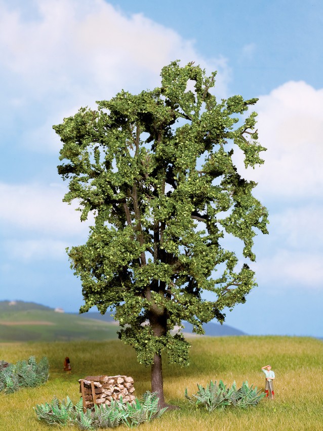 Noch - Árvore, Castanheira (Chestnut Tree) - Multi Escala: 21800