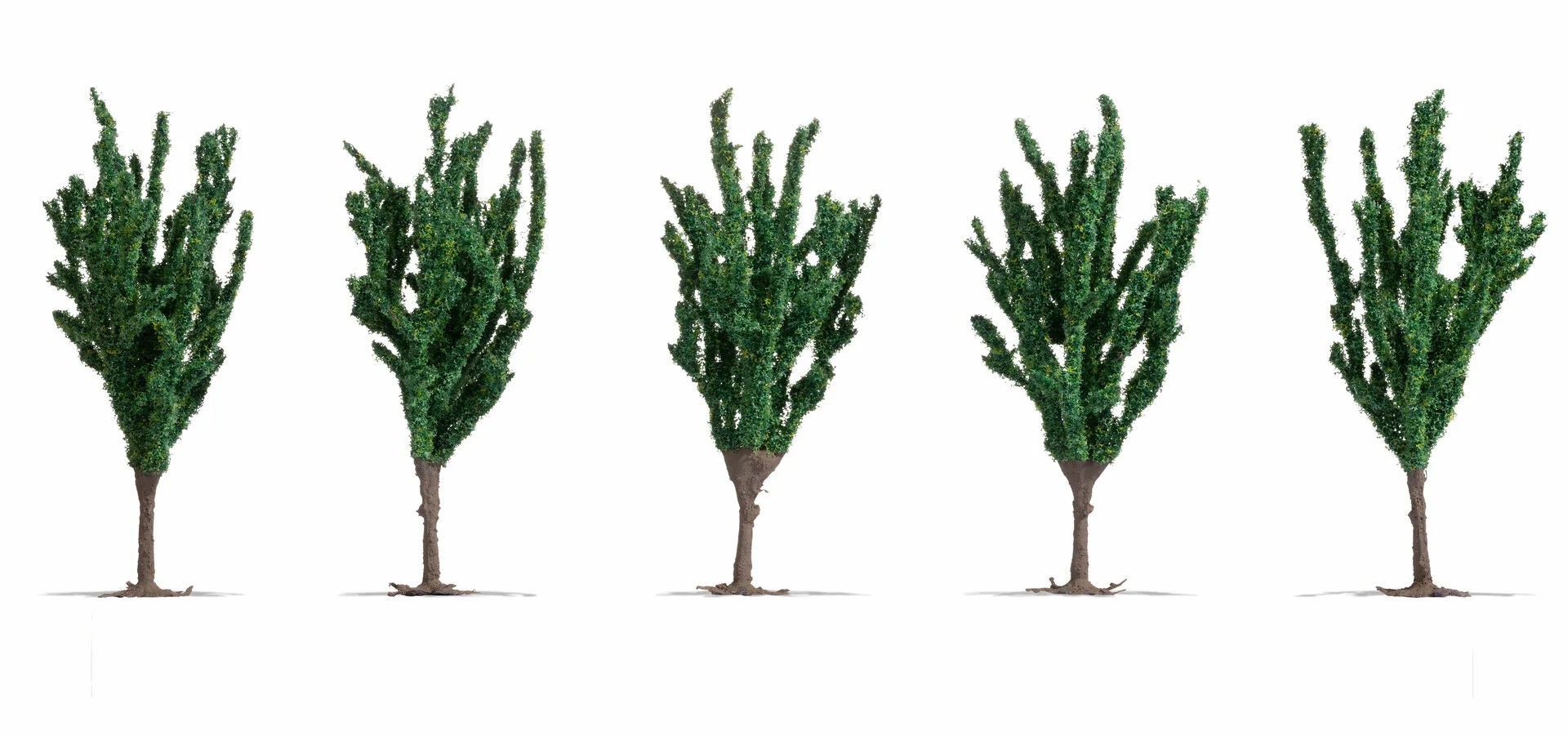 Noch - Choupos (Poplar Trees) - Multi Escala: 25635
