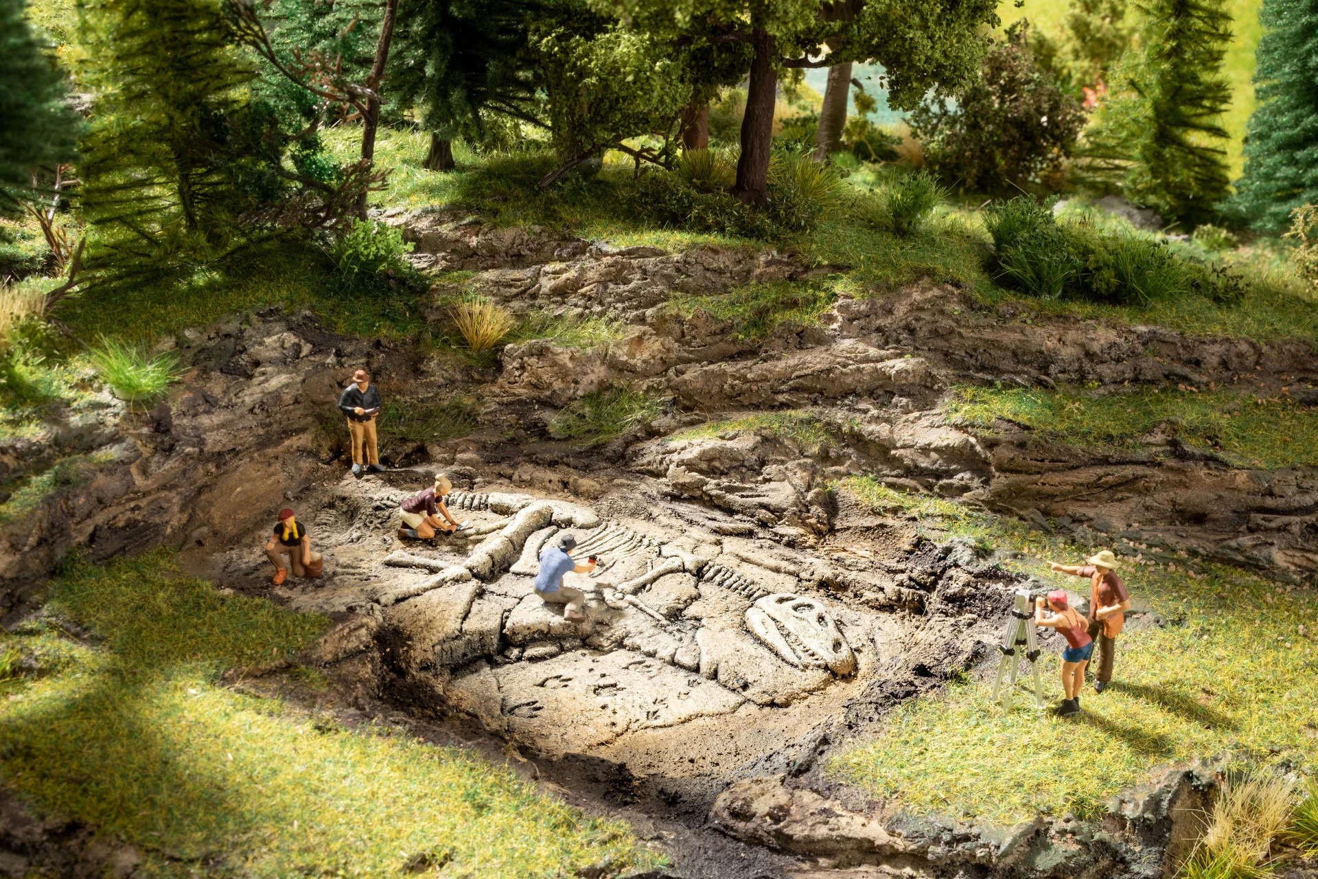 Noch - Escavação de T-Rex (T-Rex Dinosaur Excavation) - Multi Escala: 58614