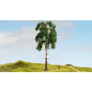 Noch - Pinheiro (Pine Tree) - Multi Escala: 20141