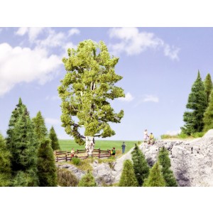 Noch - Árvore, Vidoeiro (Bétula) de Tronco Duplo - Multi Escala: 21641