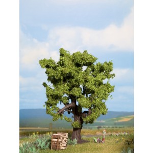 Noch - Árvore, Carvalho (Oak) - Multi Escala: 21760