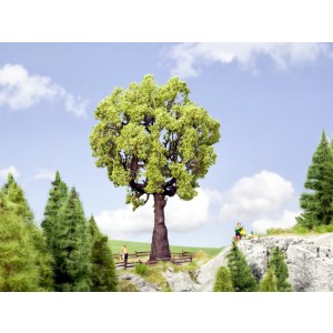 Noch - Árvore, Carvalho (Oak Tree) - Multi Escala: 21761