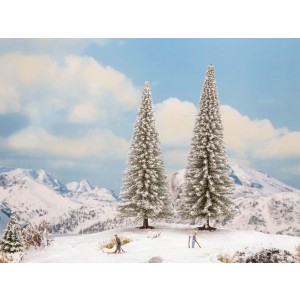Noch - Pinheiros Nevados (Snowy Fir Trees) - Multi Escala: 21966