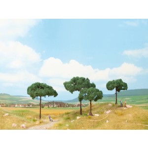 Noch - Árvores, Pinheiros (Stone Pines) - Multi Escala: 21992