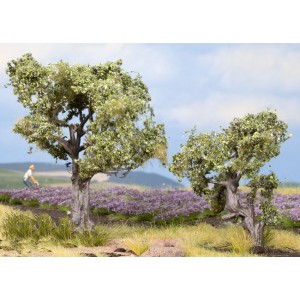 Noch - Oliveiras (Olive Trees) - Multi Escala: 21995