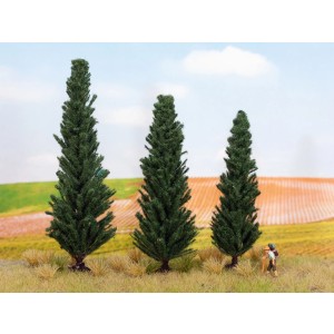 Noch - Árvores, Ciprestes (Cypresses) - Multi Escala: 21998
