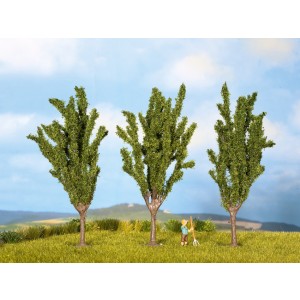 Noch - Árvores, Choupos (Poplars) - Multi Escala: 25525