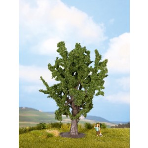 Noch - Carvalho (Oak Tree) - Multi Escala: 25860