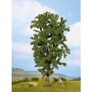 Noch - Castanheiro-da-índia (Horse Chestnut Tree) - Multi Escala: 25895
